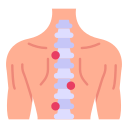 spinal-cord (1)